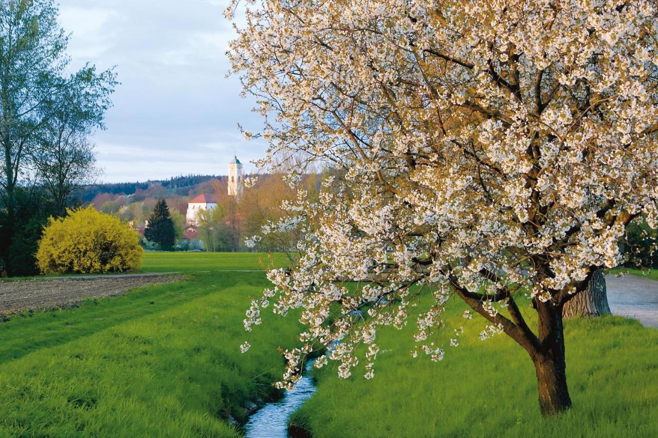 Best Western Aparthotel Birnbachhoehe Bad Birnbach Bagian luar foto
